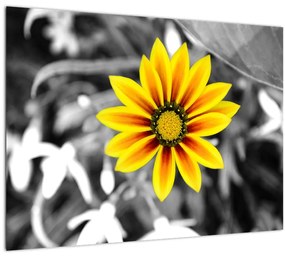 Sklenený obraz žltej kvetiny (70x50 cm)