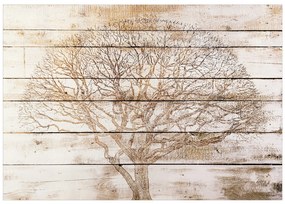 Artgeist Fototapeta - Tree on Boards Veľkosť: 150x105, Verzia: Standard