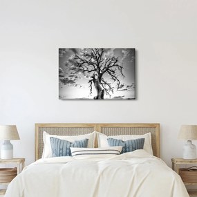 Obraz - Čiernobiely strom (90x60 cm)