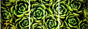 Obraz skalníc (s hodinami) (90x30 cm)