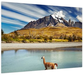 Obraz - Národný park Torres del Paine (70x50 cm)