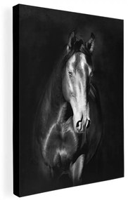 Obraz do obývačky na plátne s motívom koňa