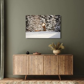 Obraz - Kôň v zimnej krajine (90x60 cm)