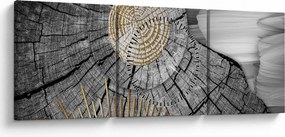 Obraz - Kmeň stromu v koláži (s hodinami) (90x30 cm)