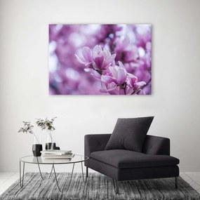 Gario Obraz na plátne Kvety magnólie Rozmery: 60 x 40 cm