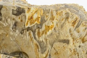 Divero 50384 Umývadlo z prírodného kameňa FOSSIL Divero - veľké