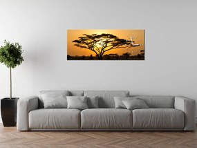 Gario Obraz s hodinami Akácia v Serengeti Rozmery: 40 x 40 cm