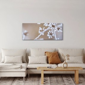 Obraz - Mráz (120x50 cm)
