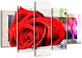 Obraz na plátně pětidílný Červená růže Květina Příroda - 200x100 cm