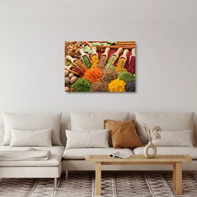Sklenený obraz - Korenie z celého sveta (70x50 cm)