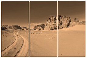 Obraz na plátne - Cesta v púšti 1129FB (105x70 cm)