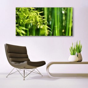 Obraz plexi Bambus listy rastlina 120x60 cm