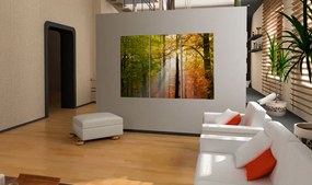 Artgeist Obraz - A calm autumn forest Veľkosť: 90x60, Verzia: Na talianskom plátne