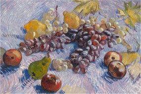 Obraz - Vincent van Gogh, Grapes, Lemons, Pears, and Apples, reprodukcia (90x60 cm)