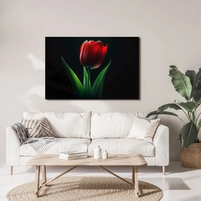 Obraz červená tulipánová elegancia