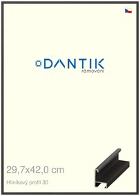 DANTIK rám na obraz 29,7x42 | ALU Dýha černá (Plexi Čiré)