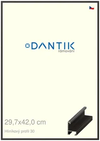 DANTIK rám na obraz 29,7x42 | ALU Dýha černá (Plexi Čiré)