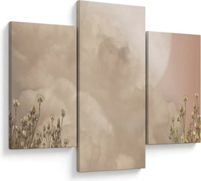 Obraz - Ružový spln (90x60 cm)