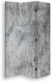 Gario Paraván Sila jednoduchosti Rozmery: 110 x 170 cm, Prevedenie: Klasický paraván