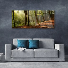 Obraz plexi Les stromy príroda 125x50 cm