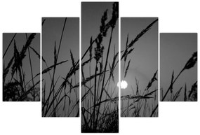 Obraz - Lúka so západom slnka (150x105 cm)