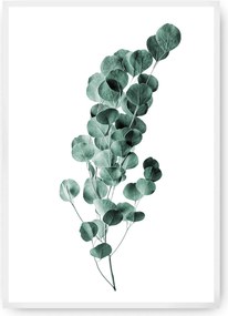 Plagát Eucalyptus Emerald Green
