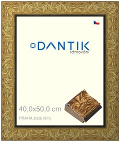 DANTIK rám na obraz 40x50 | PRAHA zlatá (Plexi Čiré)