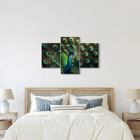 Obraz – Páv (90x60 cm)