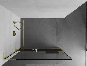 Mexen Kioto+ L, sprchová zástena Walk-In s poličkou a vešiakom 80 x 200 cm, 8mm číre sklo čierny vzor, zlatý lesklý profil,800-080-123-50-70