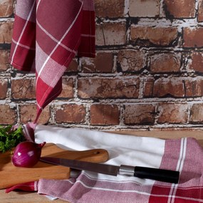 KUCHYNSKÁ UTIERKA MONA SADA 2 KS 50X70 CM VZOROVANÉ