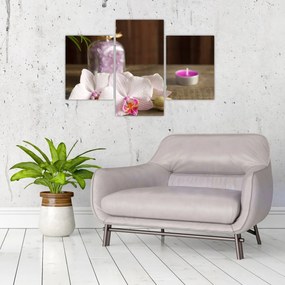 Obraz - Sviečka a orchidey (90x60 cm)