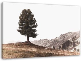 Obraz na plátně Strom Hory Příroda - 100x70 cm