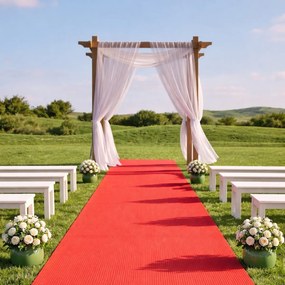 Betap, SUPER CENA: Červený svadobný koberec metrážny Budget, na mieru, šíře 4m, červená, resine, chodba / predsieň