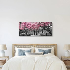 Obraz stromov Magnólie (120x50 cm)