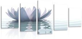 5-dielny obraz lotosový kvet - 200x100
