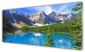 Obraz plexi Jazero hora les príroda 125x50 cm