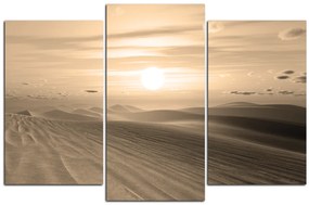Obraz na plátne - Púštny západ slnka 1917FC (90x60 cm)