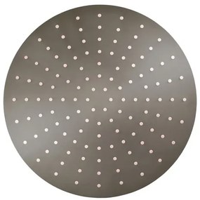 Hlavová sprcha RAV SLEZÁK bez príslušenstva metal grey lesklá KS0001/4MGL