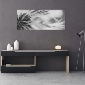Obraz - Púpava (120x50 cm)