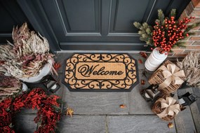 Hanse Home, Rohožka Welcome 105713 – na von aj na doma, 45x75, hnedá, chodba / predsieň