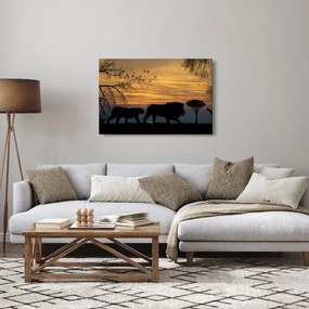 Obraz Safari (90x60 cm)