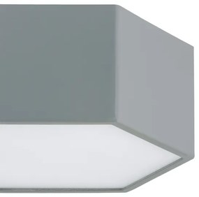 Argon 8784 - LED Stropné svietidlo LIBERO LED/12W/230V 3000K šedá