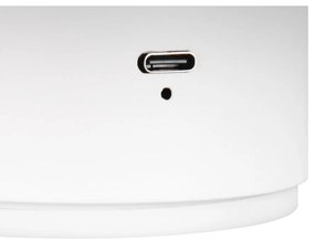 Matne biele LED nástenné svietidlo na USB Davey – Trio