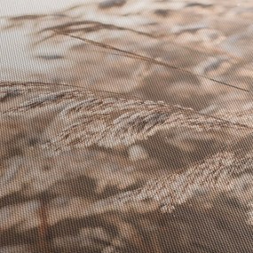 Obraz - Lúčny vánok (120x50 cm)