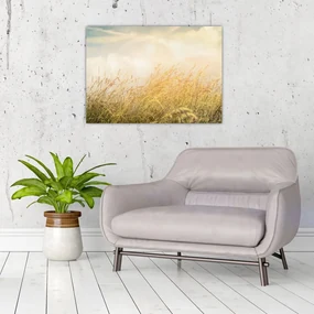 Obraz - Pole na jeseň (70x50 cm)