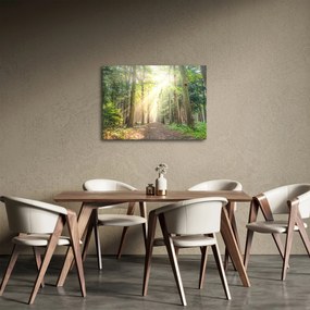 Obraz cestičky v lese (70x50 cm)
