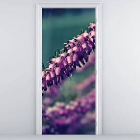 Fototapeta na dvere - Levanduľa (95x205cm)