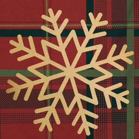 VIANOČNÉ RENFORCÉ OBLIEČKY ESTRELLA 160X200 CM, 2 KS 70X80 CM VZOROVANÉ