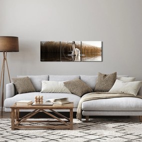 Obraz labute (s hodinami) (90x30 cm)