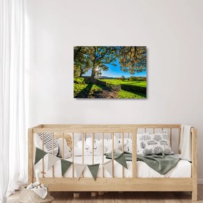 Sklenený obraz - Výhľad na pole (70x50 cm)